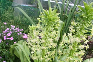 blogIMG_6938