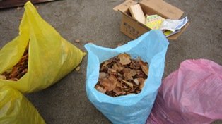 blogIMG_1038
