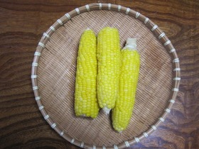 IMG_0046