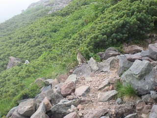 blogIMG_0321