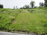 blogIMG_0062