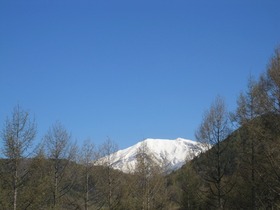 IMG_0005