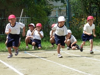 blogIMGP0159