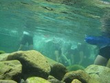 blogIMG_2823