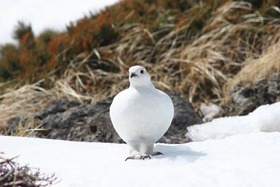 blogIMG_8369
