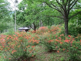 IMG_0415
