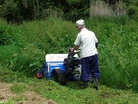 blogIMGP0874
