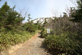 blog IMG_9093