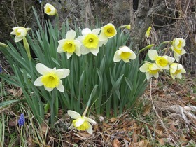 blogIMG_0064
