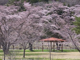 blogRIMG0023