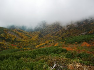 blogCIMG8713