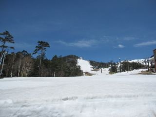 92b42b21.jpg