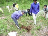 穴掘り