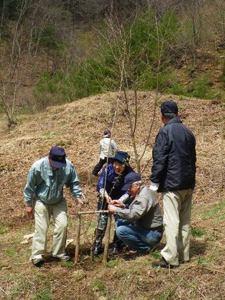 blog074