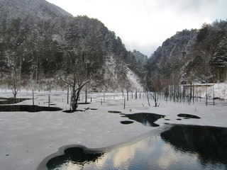 blogCIMG9949
