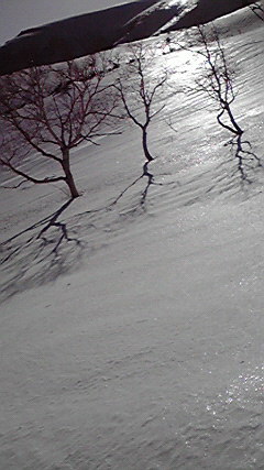 2010040315410000