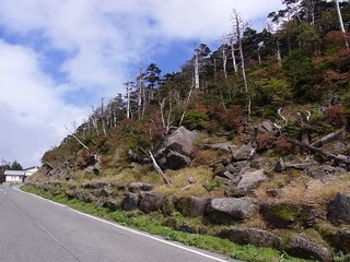 blogRIMG0033