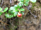a1d37848.jpg