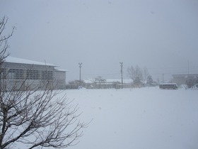 blogIMG_0116