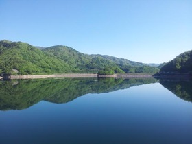 blog1