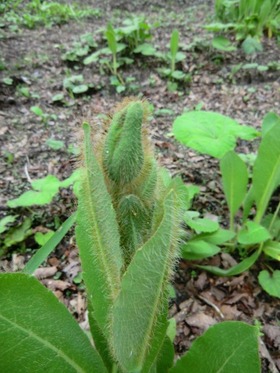 blog1