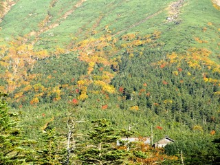blogCIMG8647