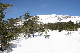 blog 遥拝所付近