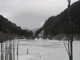 blog IMG_0010