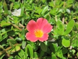 blogIMG_4209