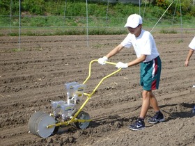 blog4