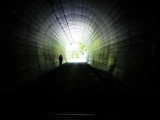blog249