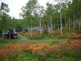 P1050329