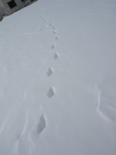 blogDSCN2969