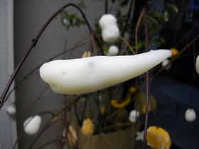 DSCN2685