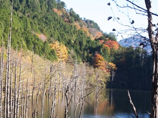 blogIMG_7209