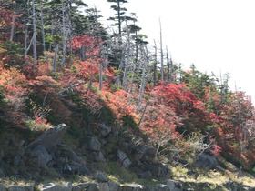 blog1005 033