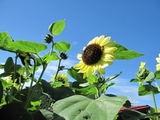blogIMG_4075