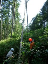 blog2008_0908ラブリーアース0043