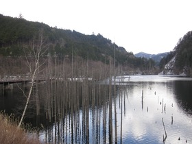 blogIMG_0383