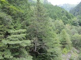blogIMG_0033