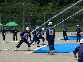 IMGP1335