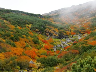blogCIMG8729