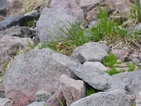 P1110426