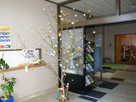 IMGP0609