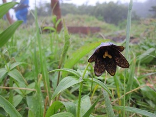 blogIMG_0592