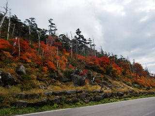 blogCIMG8781