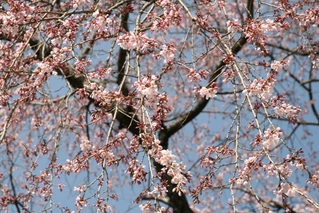 blogIMG_6691