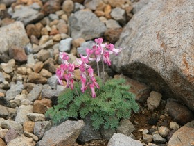 blog IMG_0038