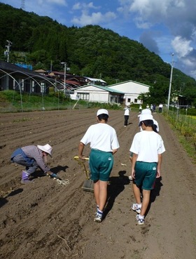 blog5