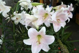 blogIMG_6946